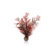 biOrb Hornkoralle dunkelrot S (Biorb)