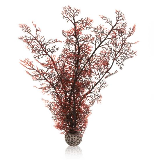 biOrb Hornkoralle dunkelrot L (Biorb)