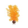 biOrb Hornkoralle S orange (Biorb)
