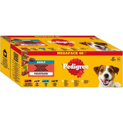 Pedigree Adult Gemischte Selektion in Gelee 40x100 g (Pedigree)
