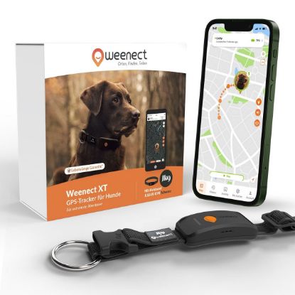 Weenect XT GPS Tracker für Hunde ab 6 kg schwarz (weenect)