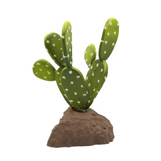 Lucky Reptile Biberschwanzkaktus 15 cm (Lucky Reptile)