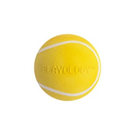 Playology Squeaky Chew Ball Chicken Medium (Playology)