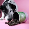 Tierliebhaber Darmpflege Drops für Hunde 350g (Tierliebhaber)