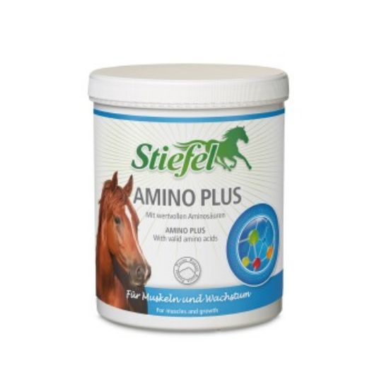 Stiefel Amino Plus 1kg (Stiefel)