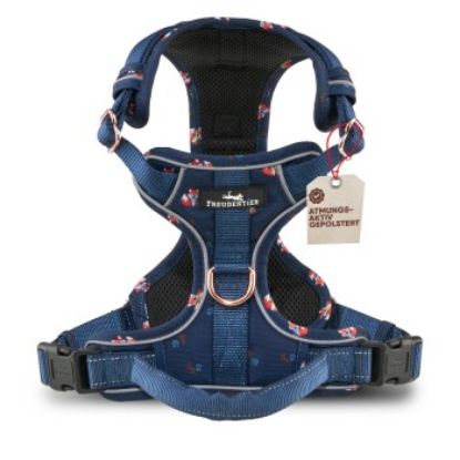Freudentier atmungsaktives Hundegeschirr "Let's get Foxy" XL (Freudentier)