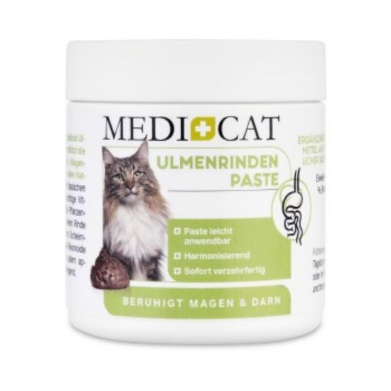 MediCat Ulmenrinde Paste (MediCat)