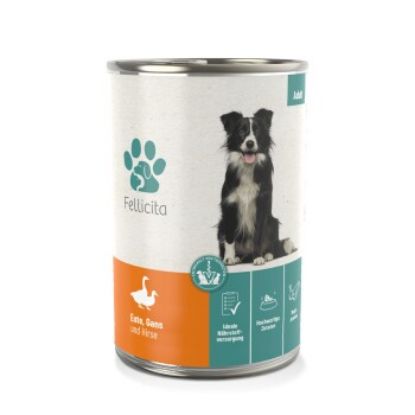Fellicita Ente, Gans & Hirse 6x 400g (Fellicita)