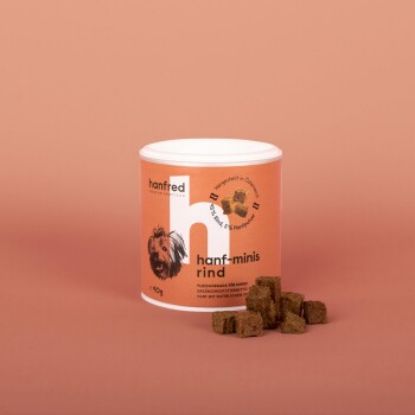 Hanfred Hanf Minis Rind 90 g (Hanfred)