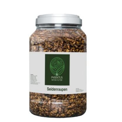 Insektus Seidenraupen 500 g (Insektus)