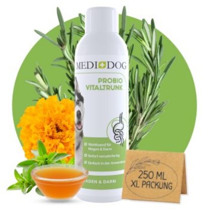MediDog Probio Vitaldrunk (MediDog)