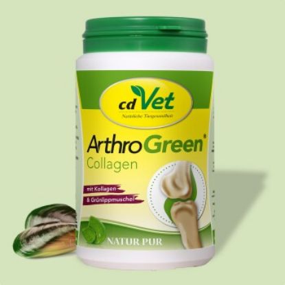 ArthroGreen Collagen 130 g (ArthroGreen)