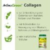 ArthroGreen Collagen 130 g (ArthroGreen)