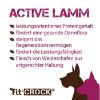 Fit-Crock Active Lamm Mini 10 kg (Fit-Crock)