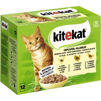 Kitekat Multipack Geflügel-Allerlei in Gelee 12x85g (Kitekat)