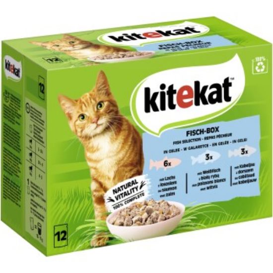 Kitekat Multipack Fisch Box in Gelee 12x85g (Kitekat)
