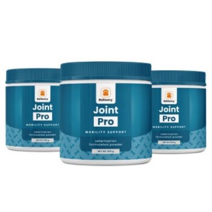 Balloony.pet German Shephy Gelenkpulver Joint Pro 600 g (Balloony.pet)