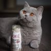 SmoothieCat Ente 12x 150 ml (SmoothieCat)