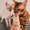 SmoothieCat Huhn 6x 150 ml (SmoothieCat)