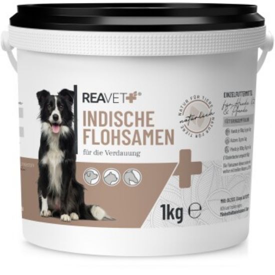 REAVET Indische Flohsamen 1kg (REAVET)