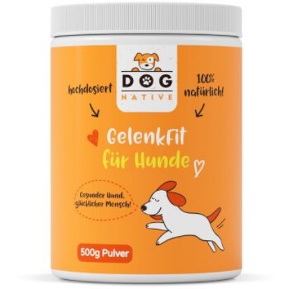 Dog-Native GelenkFit für Hunde, natürliches Gelenkpulver, Gelenk Fit Pulver mit Grünlippmuschel, MSM, Kollagen & Chondroitin für Gelenke & Knochen, 500g (Dog-Native)