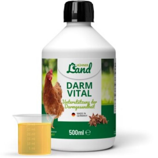 HÜHNER Land Darm Vital 500ml (HÜHNER Land)
