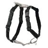 PetSafe 3-in-1-Geschirr und Rückhaltegurt XS (PetSafe)