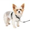 PetSafe 3-in-1-Geschirr und Rückhaltegurt XS (PetSafe)