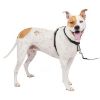 PetSafe 3-in-1-Geschirr und Rückhaltegurt M (PetSafe)