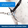 PetSafe 3-in-1-Geschirr und Rückhaltegurt M (PetSafe)