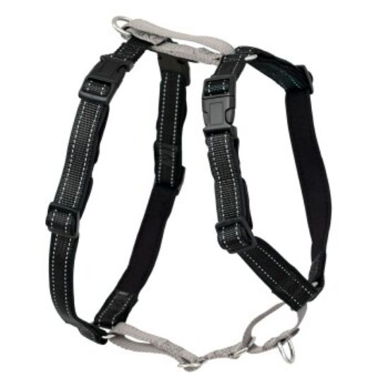 PetSafe 3-in-1-Geschirr und Rückhaltegurt (PetSafe)