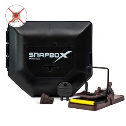 Futura-Shop Mausefalle Snapbox (Futura-Shop)