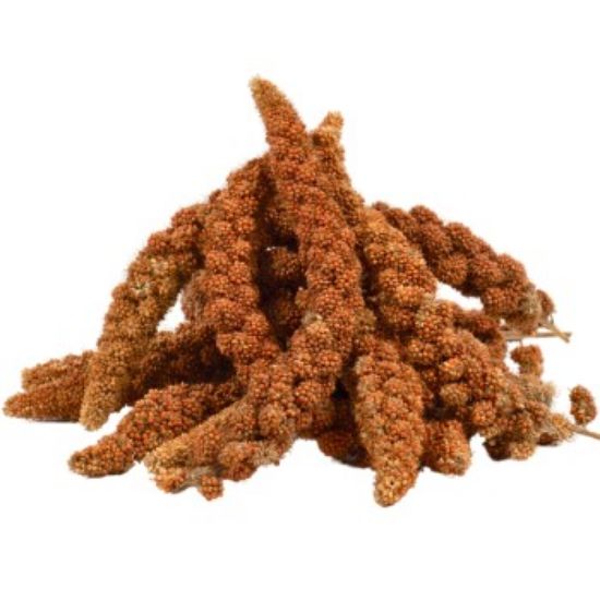 Lyra Pet Kolbenhirse rot 15 kg (LYRA PET)