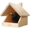 WILDLIFE HOME Amsel Nistkasten (WILDLIFE HOME)