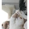 LEO LÖWENKATZ Federwedel für Katzen mit einer echten Straußenfeder (LEO LÖWENKATZ)