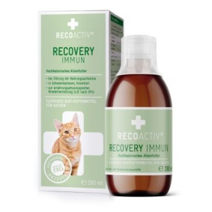 RECOACTIV ® Recovery Immun Tonicum 280 ml (RECOACTIV)
