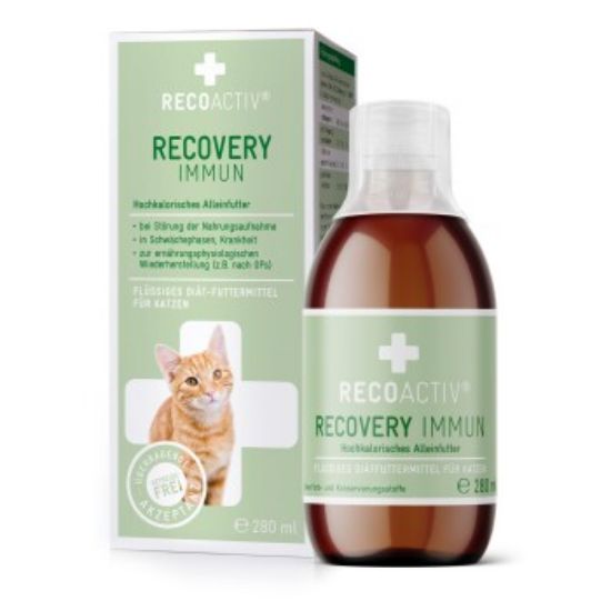 RECOACTIV ® Recovery Immun Tonicum 280 ml (RECOACTIV)