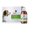 RECOACTIV ® Immun Tonicum 3x90ml (RECOACTIV)