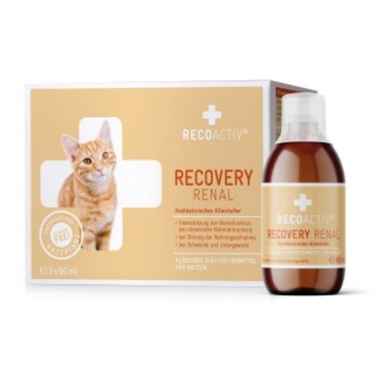RECOACTIV ® Recovery Renal Tonicum 270 ml (RECOACTIV)
