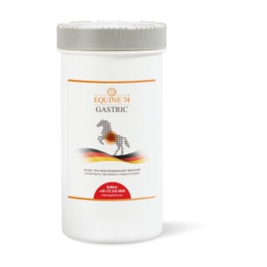 Equine 74 Ergänzungsfutter Gastric Pelle 2 kg (Equine 74)