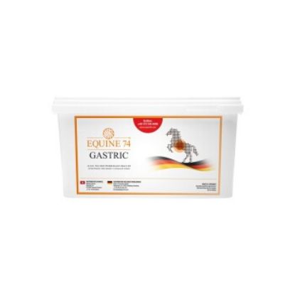 Equine 74 Ergänzungsfutter Gastric Pelle 6 kg (Equine 74)