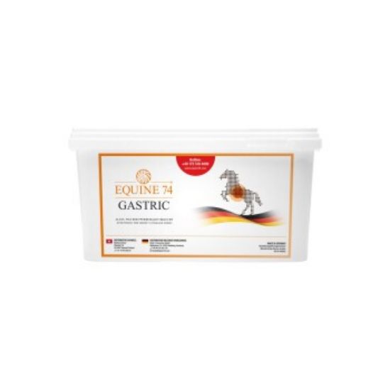 Equine 74 Ergänzungsfutter Gastric Pelle 6 kg (Equine 74)