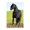 Rambo Stalldecke Stable 100 g 1,25 m (Rambo)