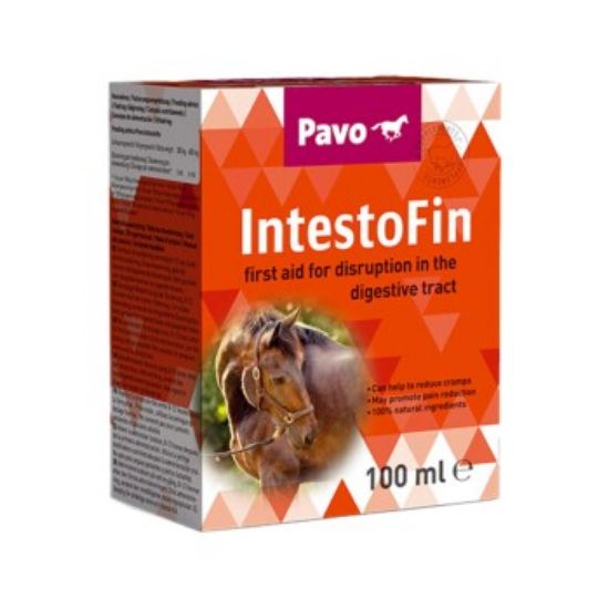 PAVO Ergänzungsfutter IntestoFin 0,1 L (Pavo)