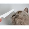 LEO LÖWENKATZ Flohkamm für die Fellpflege von Katzen. Leichte Entfernung der Katzenhaare aus dem Kamm. Kamm für Katzen (LEO LÖWENKATZ)