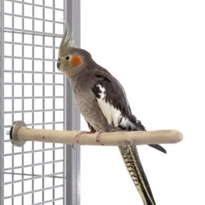 Java Kaffeeholz-Sitzstange, einseitig montierbar (Java)