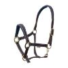 EQuest Halfter Dual Plus braun WB (Warmblut) (EQuest)