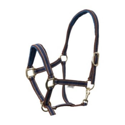 EQuest Halfter Dual Plus braun WB (Warmblut) (EQuest)