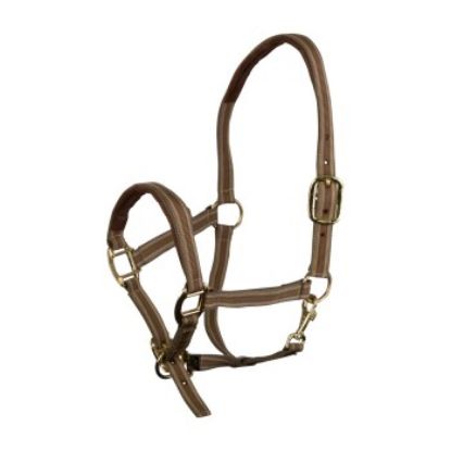 EQuest Halfter Dual Plus beige VB/ COB (Vollblut) (EQuest)