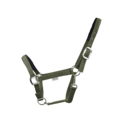 EQuest Halfter Dual Plus Nickel oliv VB/ COB (Vollblut) (EQuest)